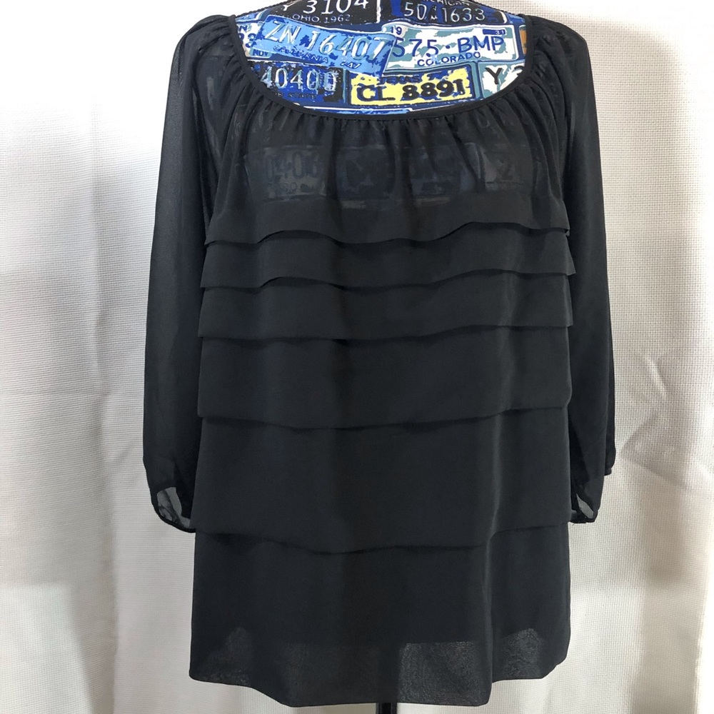 Sheer Pleated Blouse